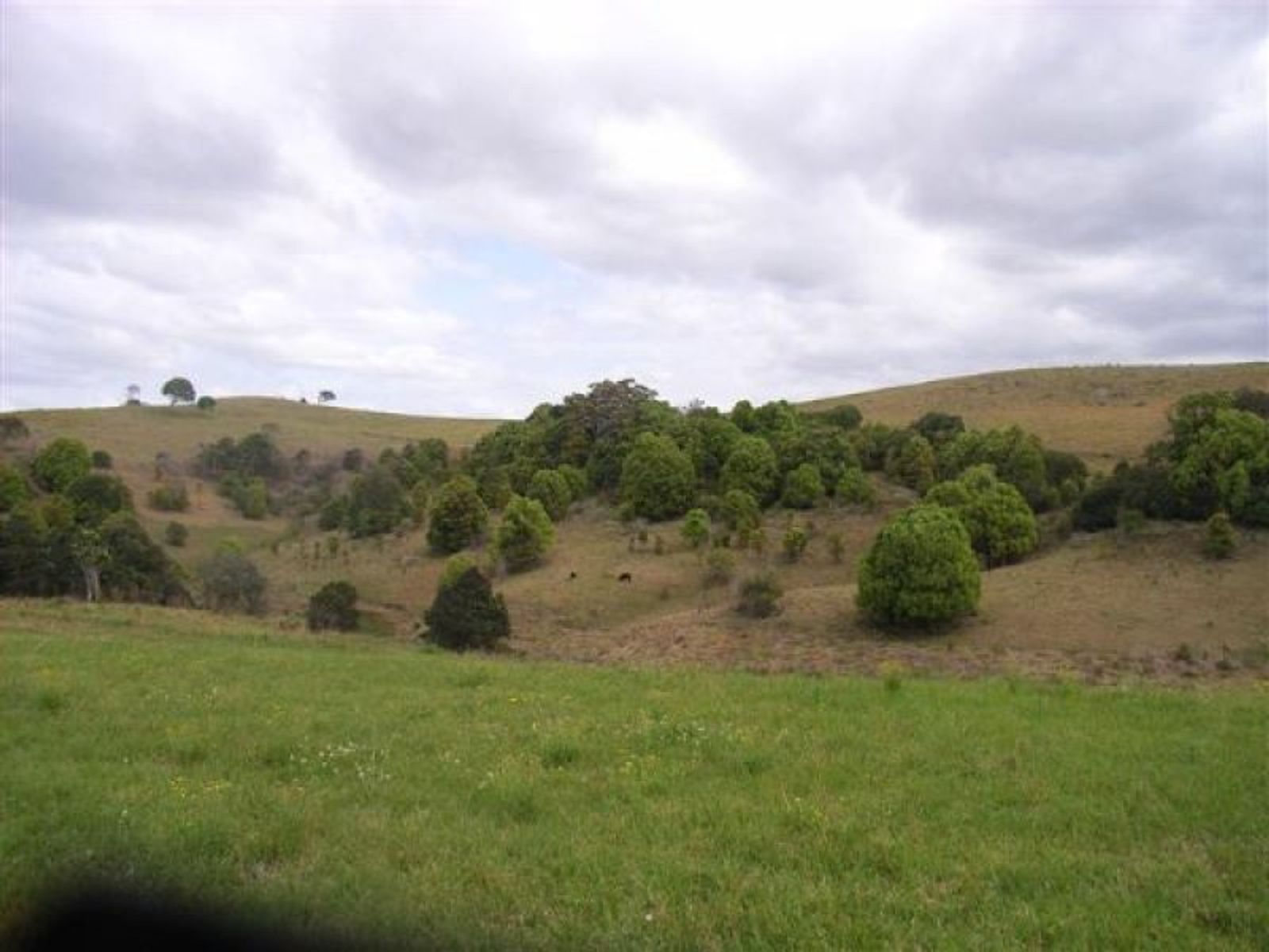 Eltham NSW 2480, Eltham - Thumbnail 7