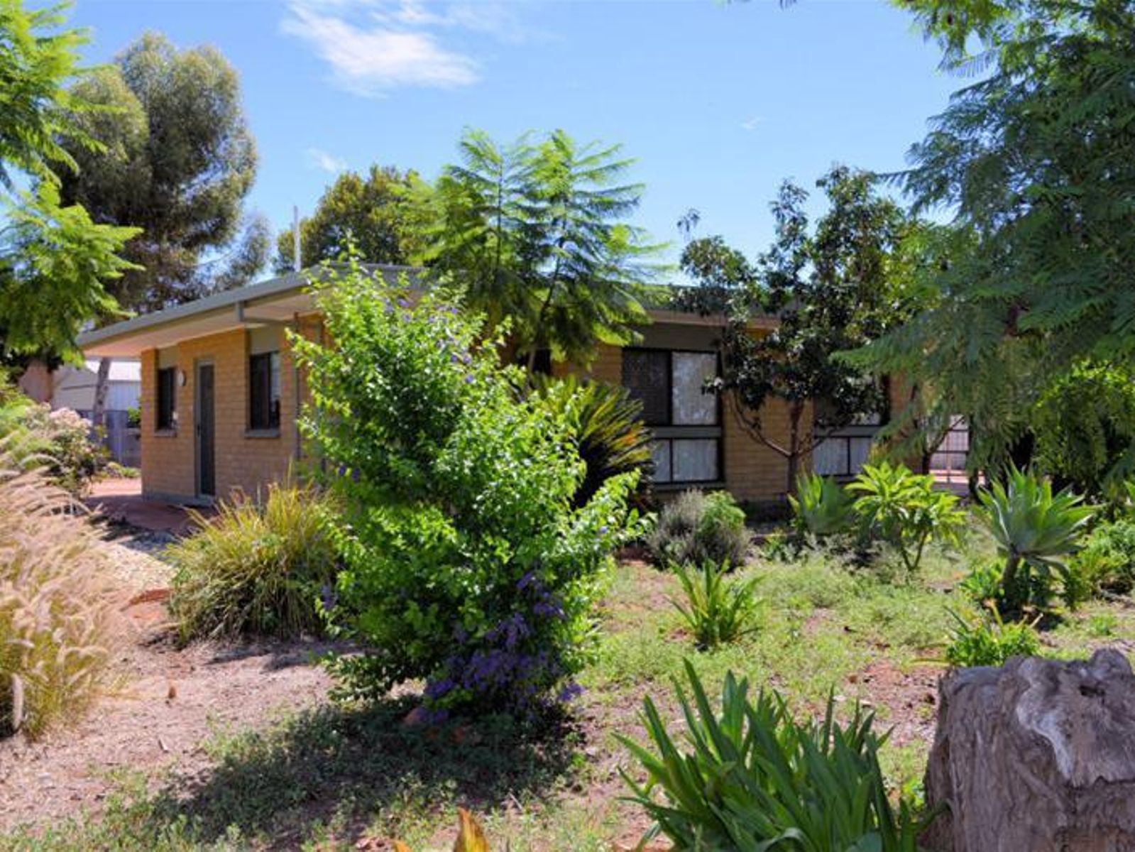 49 Avoca Street, Dareton - Image 1