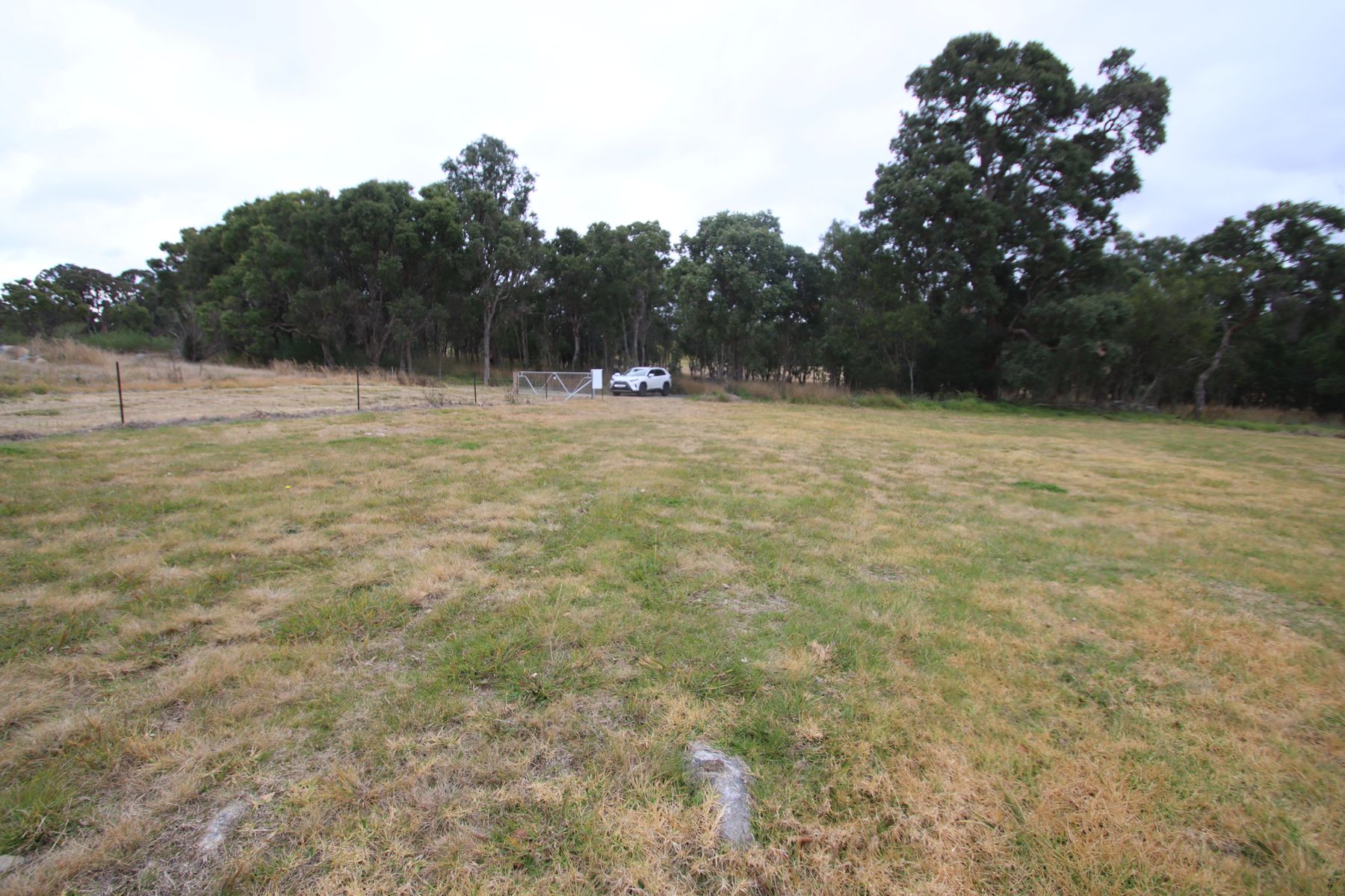148B Sunnyside Loop Road, Tenterfield NSW 2372, Tenterfield - Thumbnail 7