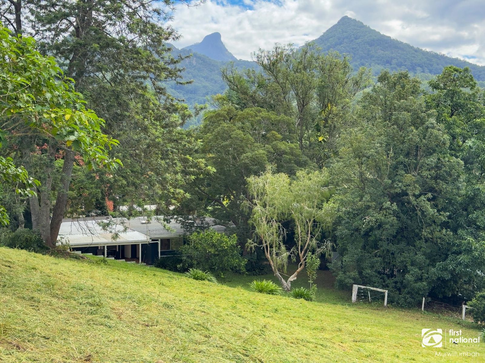 1501 Kyogle Road, Uki NSW 2484, Uki - Thumbnail 3