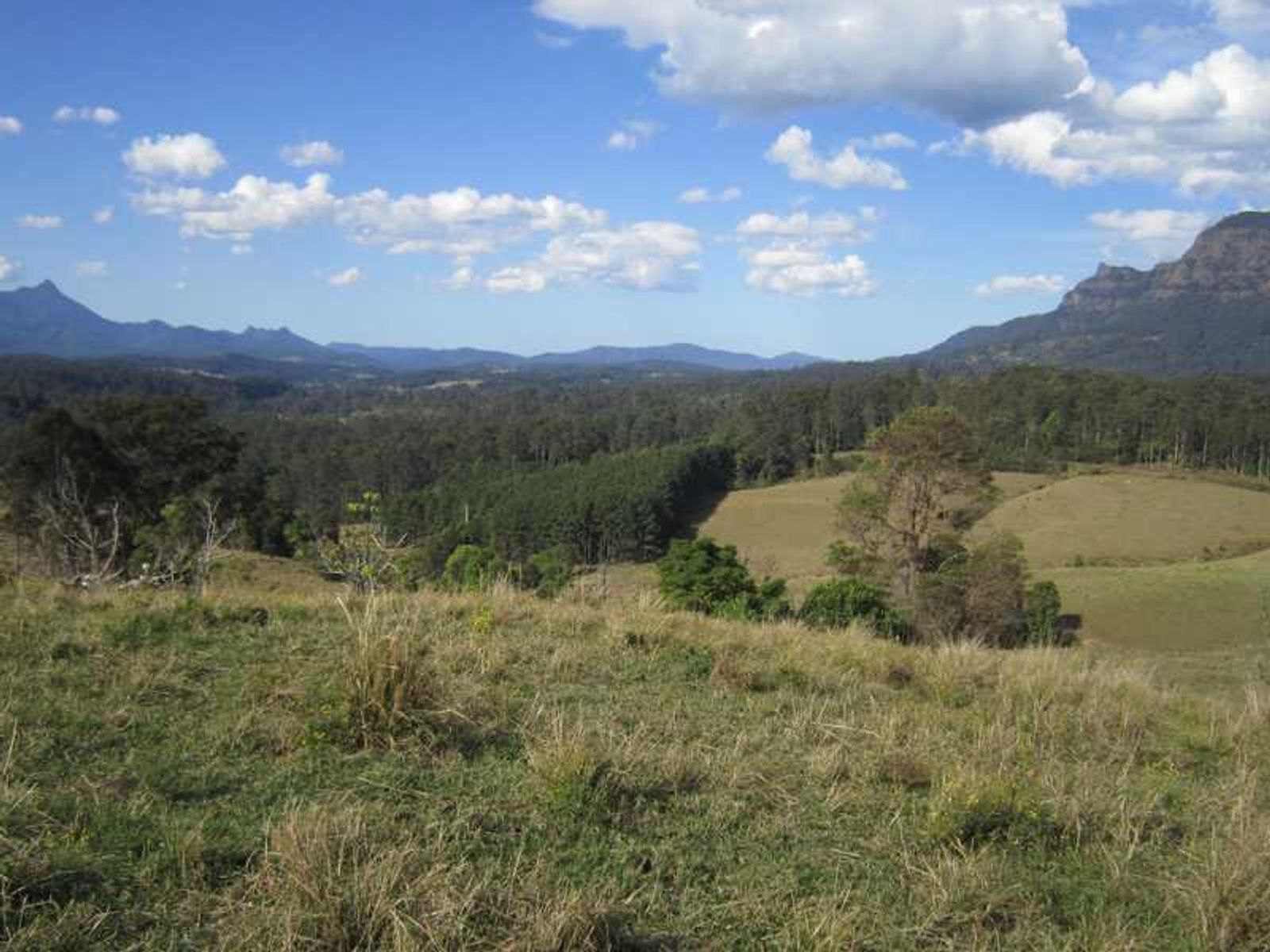 4012 Kyogle Road, Mount Burrell - Thumbnail 8