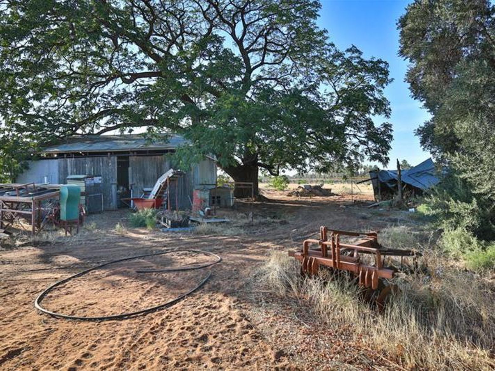 99 Cowanna Avenue, Merbein - Thumbnail 4