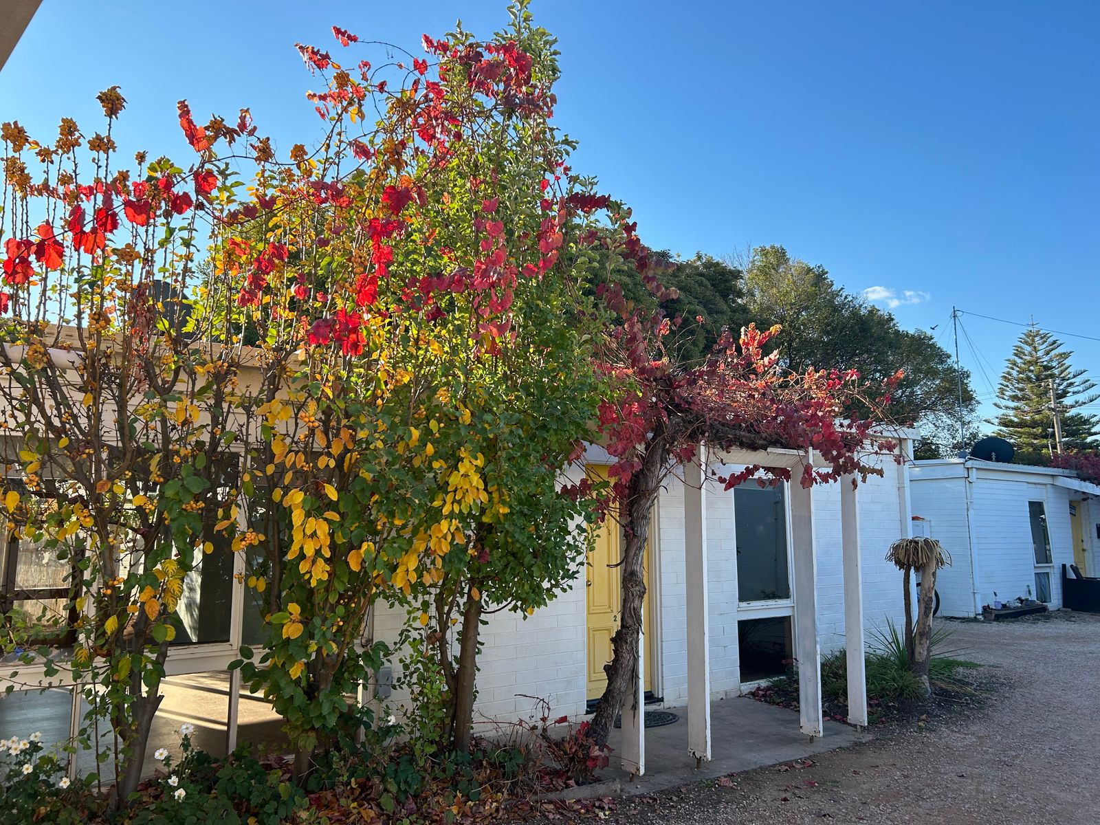 2/884 Fifteenth Street, Mildura - Thumbnail 2