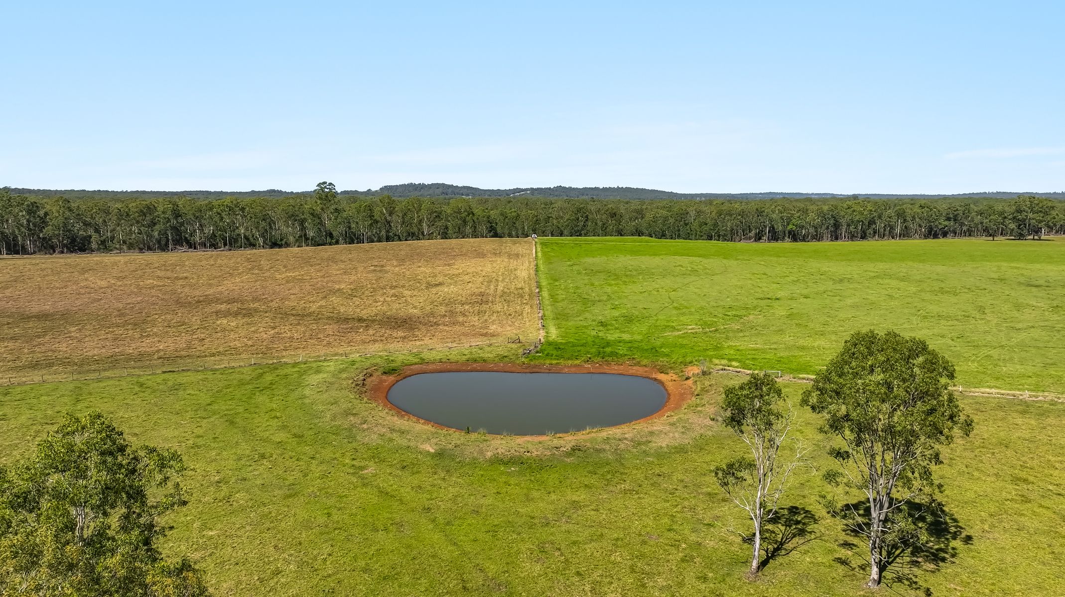 1295 Ellangowan Road, Ellangowan - Thumbnail 6