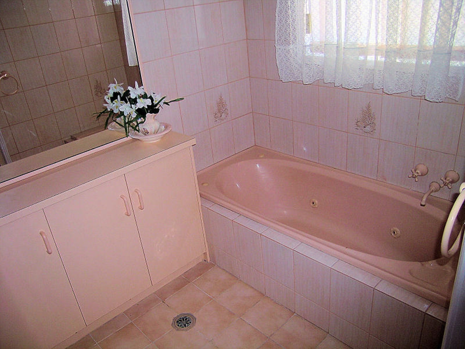 1 Sky Court, Mildura - Thumbnail 4