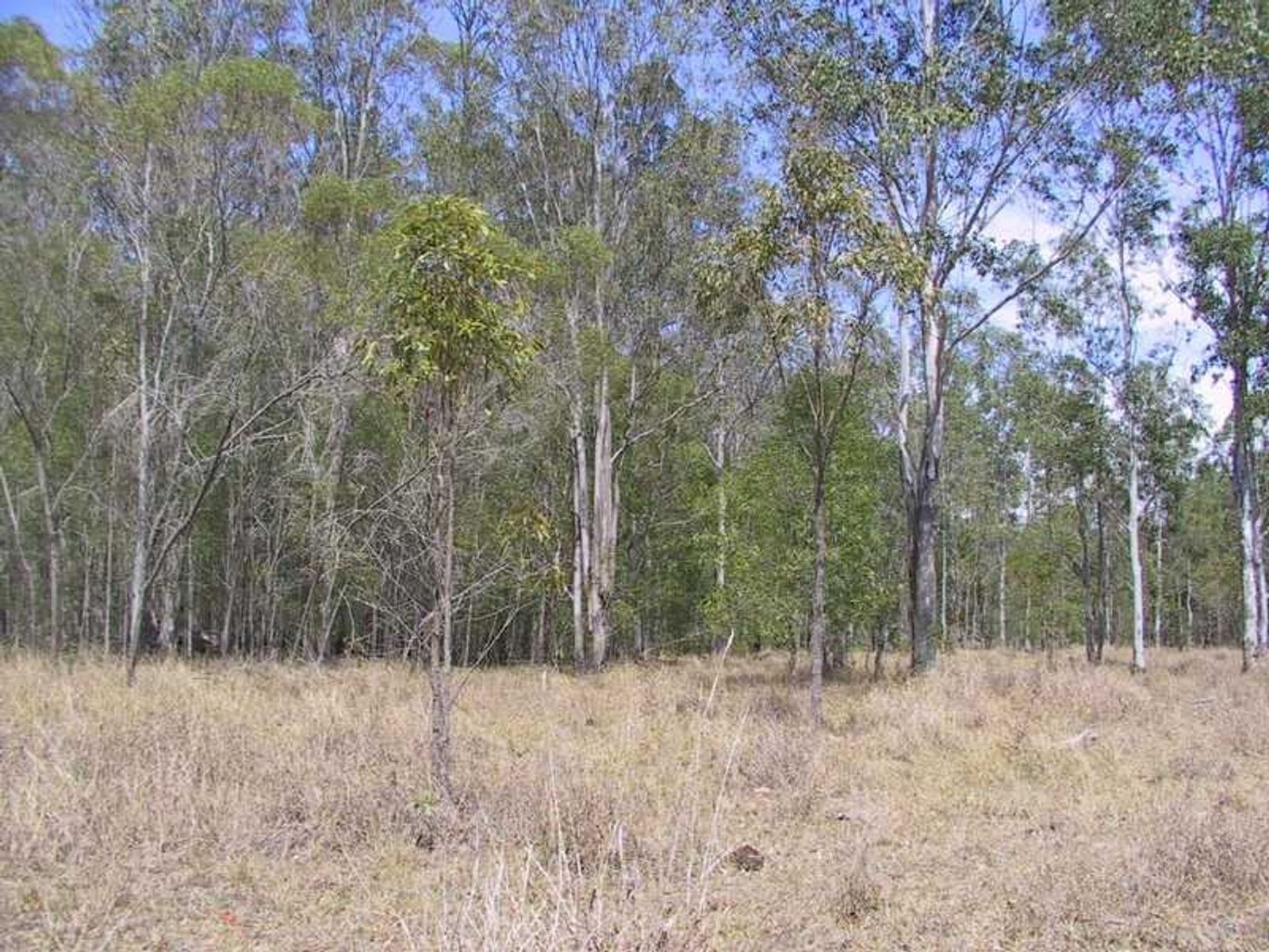 Tatham-Myrtle Creek Road NSW 2470, Tatham-Myrtle Creek Road - Thumbnail 6