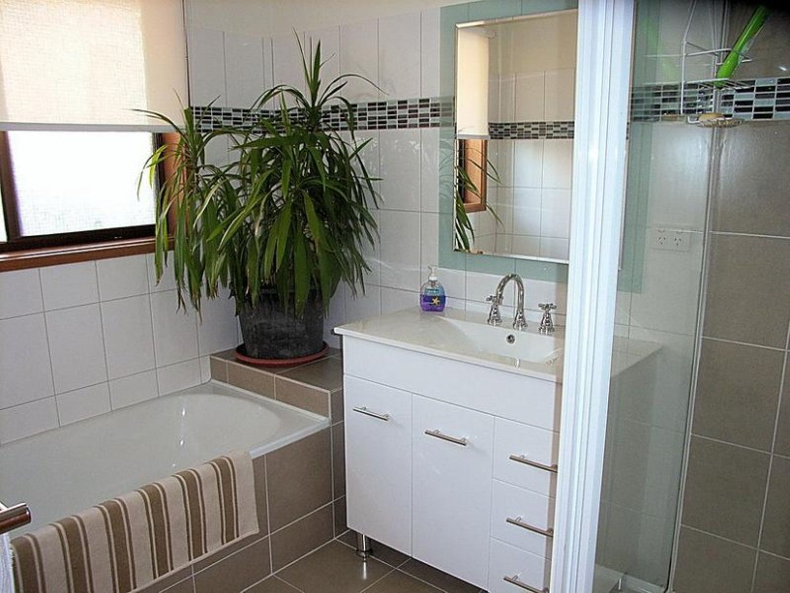 12 Le Pedeleure Avenue, Mildura - Thumbnail 6
