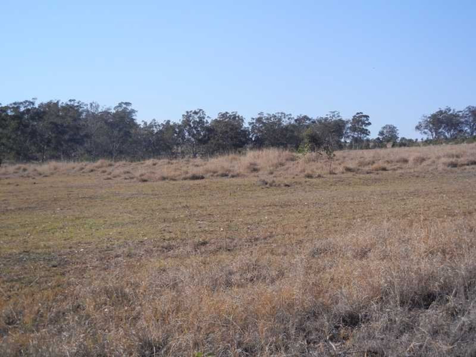 Bourkes Road QLD 4370, Bourkes Road - Thumbnail 6