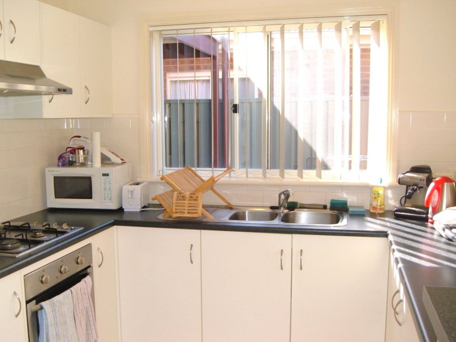 9 Morton Street, Mawson Lakes, SA 5095, Mawson Lakes - Thumbnail 3