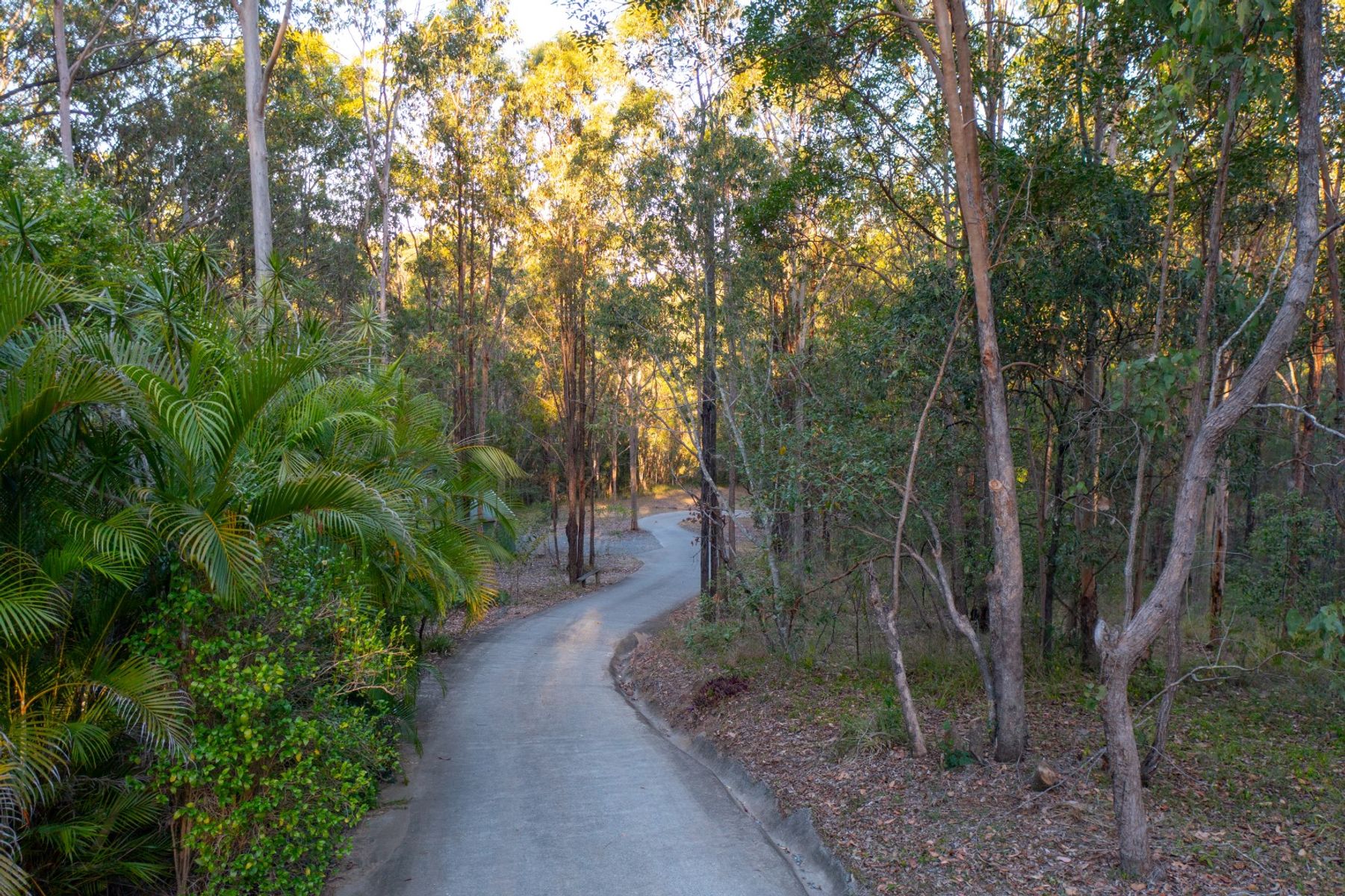 39-41 Woodswallow Court, Greenbank QLD 4124, Greenbank - Thumbnail 5