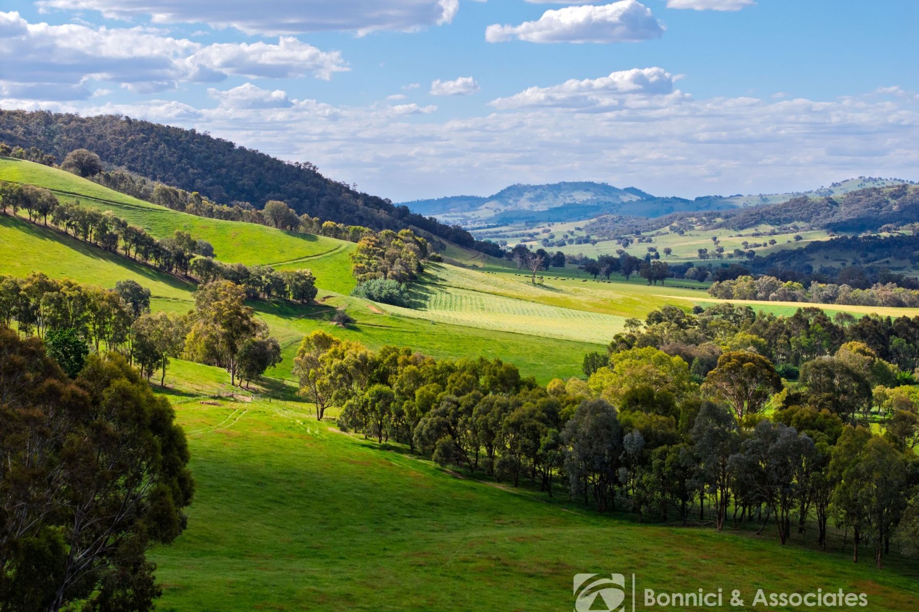 Lot 2/PS917939 Indigo Creek Road, Indigo Valley VIC 3688, Indigo Valley - Image 1