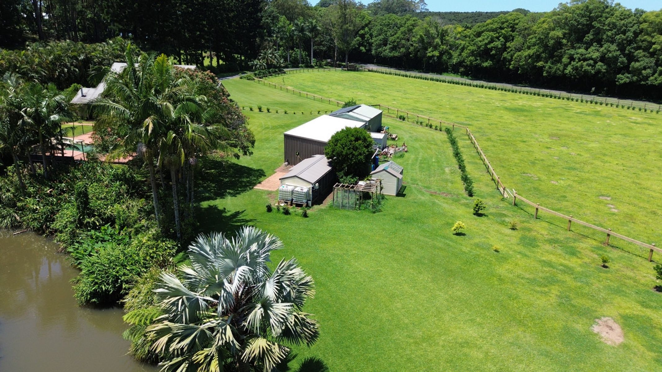517 Friday Hut Road, Brooklet NSW 2479, Brooklet - Thumbnail 6