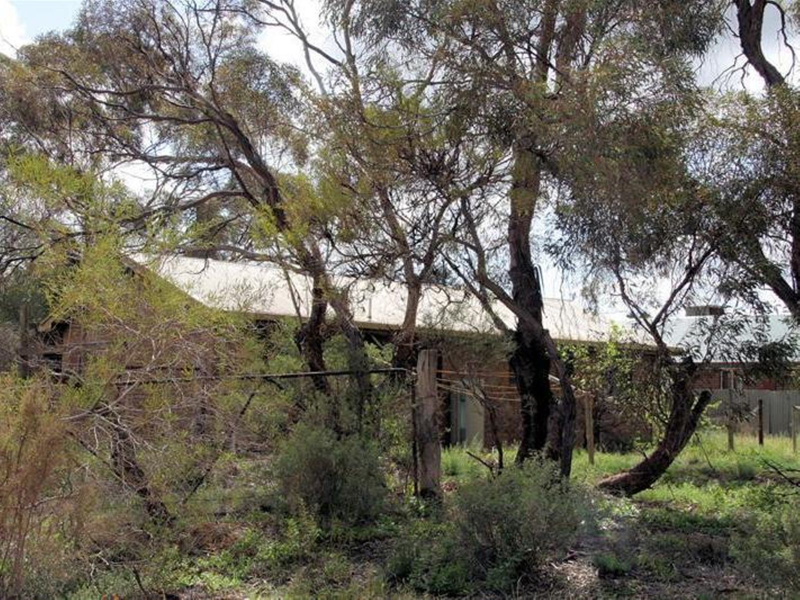 1 Reserve Road, Red Cliffs - Thumbnail 4