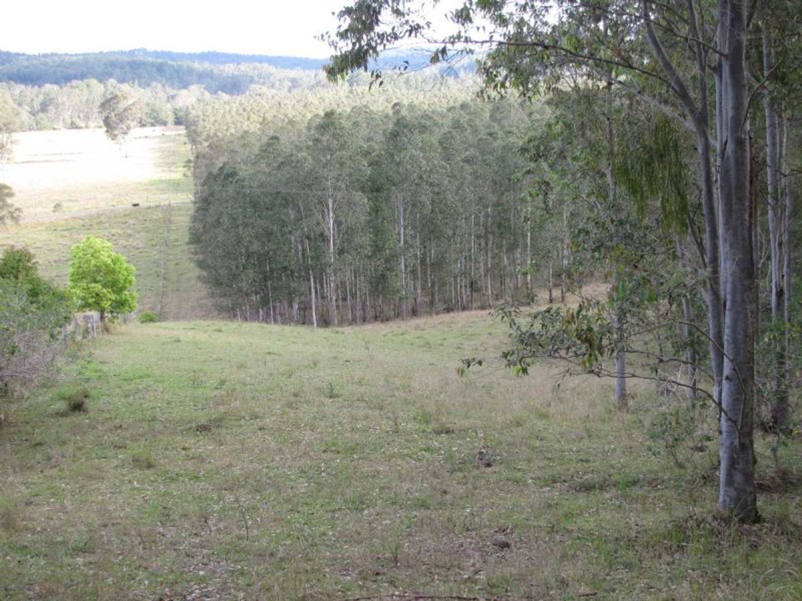 Summerville Babyl Creek Road, Babyl Creek - Thumbnail 6
