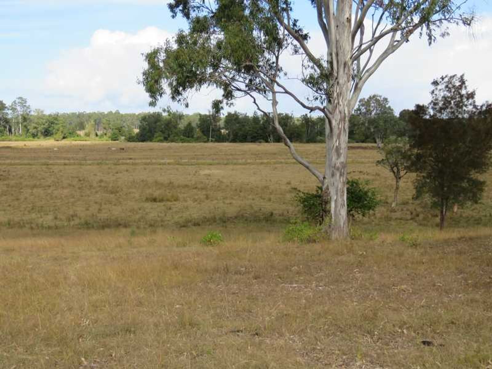 Mount Marsh Road, Whiporie - Thumbnail 8