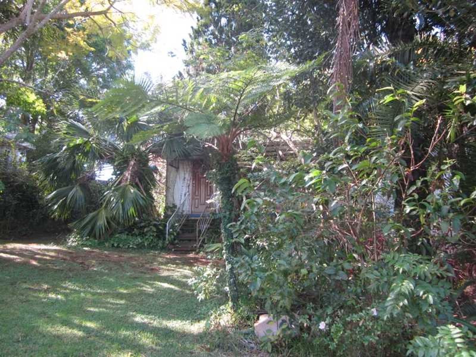 5 Thomas Street, Bangalow - Thumbnail 8