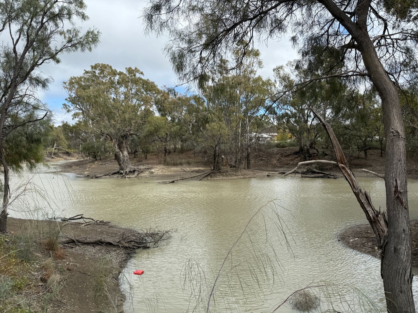 4 Murray street, Moulamein NSW 2733, Moulamein - Thumbnail 2