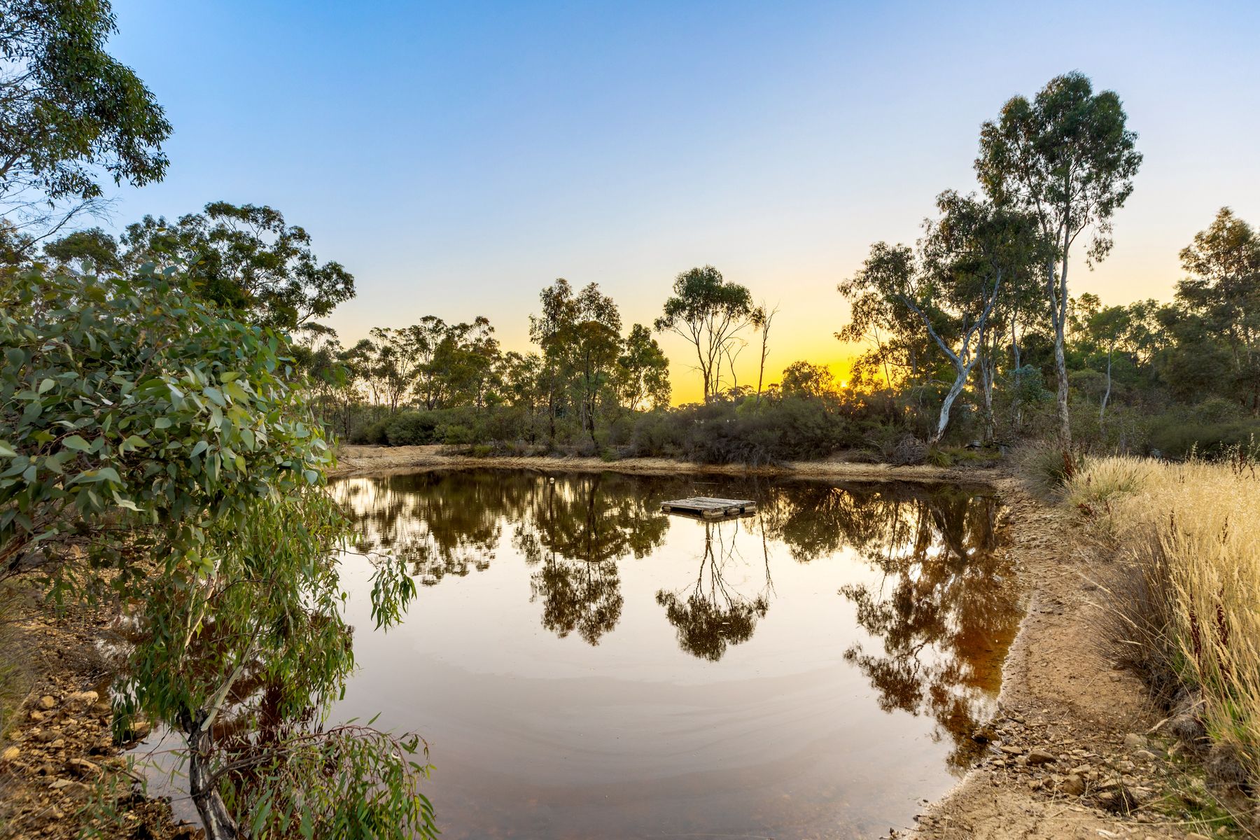 51 Bracewell Street, Maiden Gully VIC 3551, Maiden Gully - Thumbnail 5