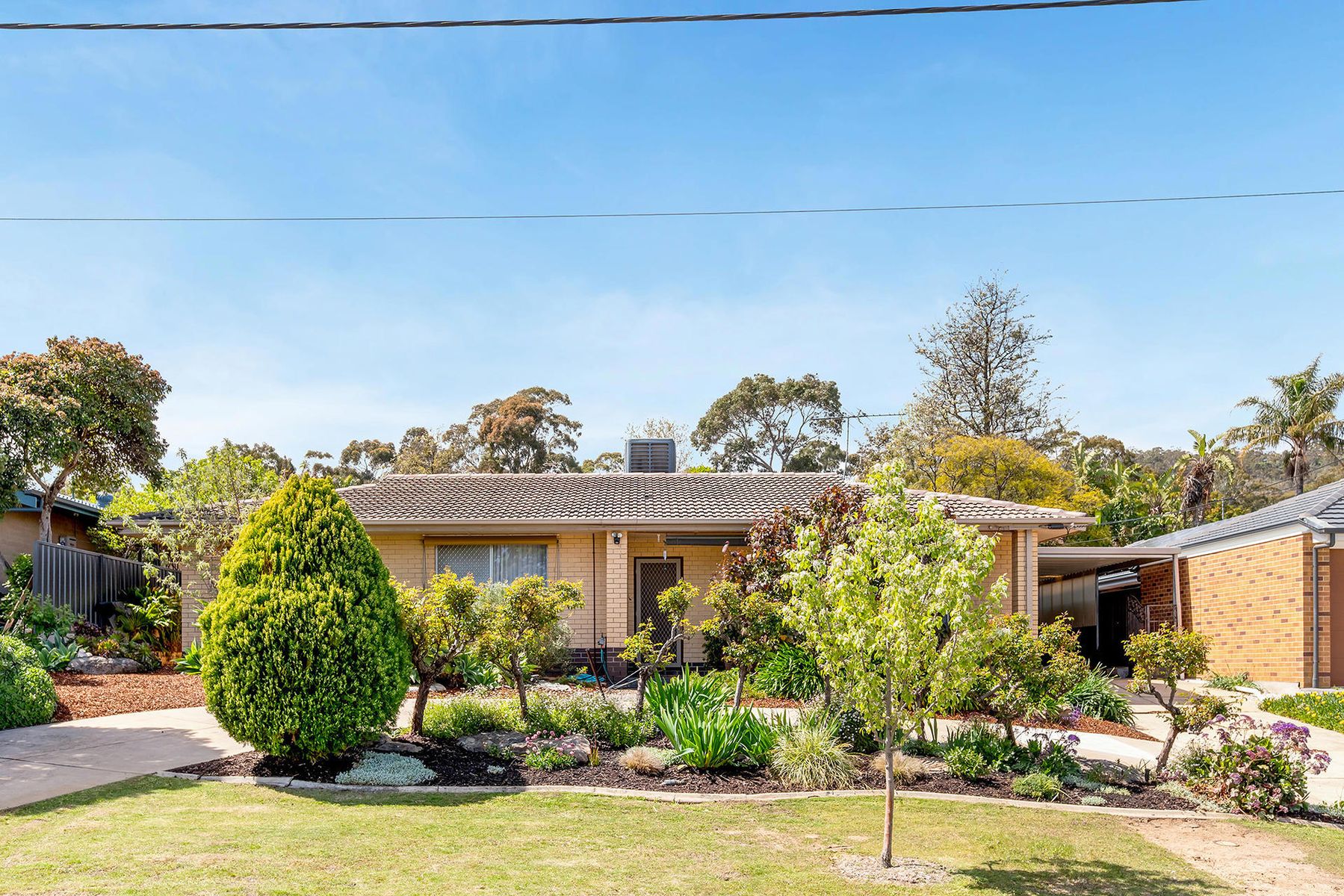 5 Condada Drive, Banksia Park SA 5091, Banksia Park - Thumbnail 2