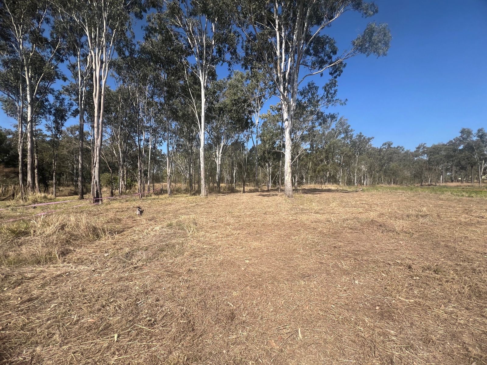Lot 605 Main Street, Dallarnil QLD 4621, Dallarnil - Thumbnail 4