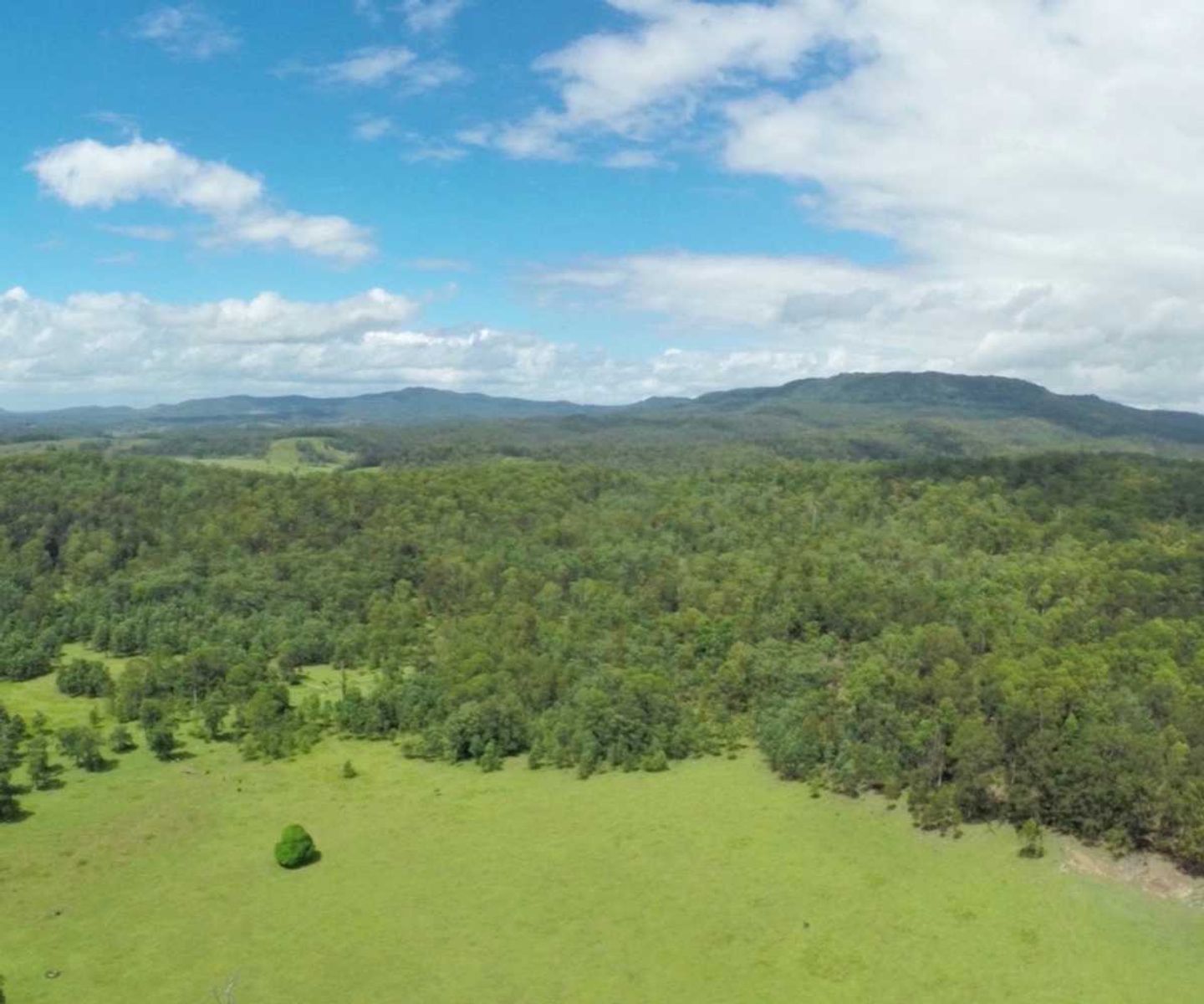 Iron Pot Creek Road NSW 2474, Iron Pot Creek Road - Thumbnail 5