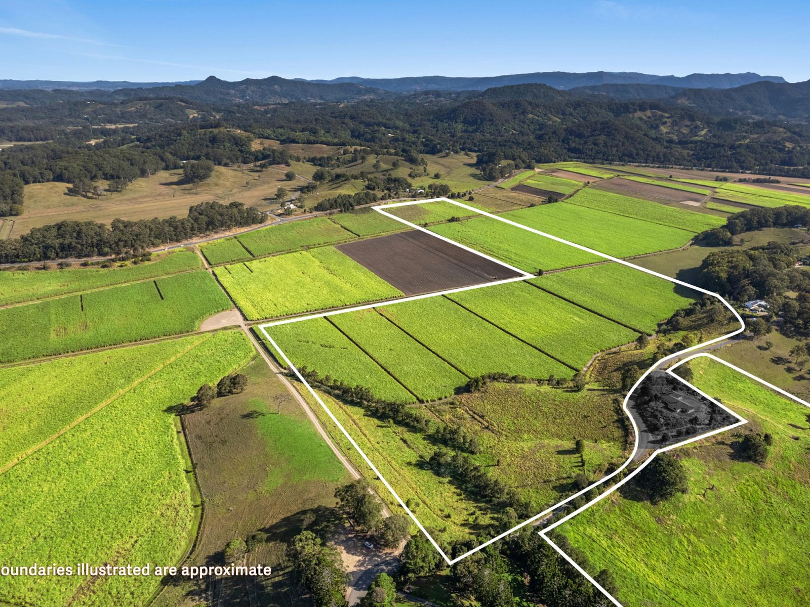 207 Hulls Road, Crabbes Creek - Thumbnail 4