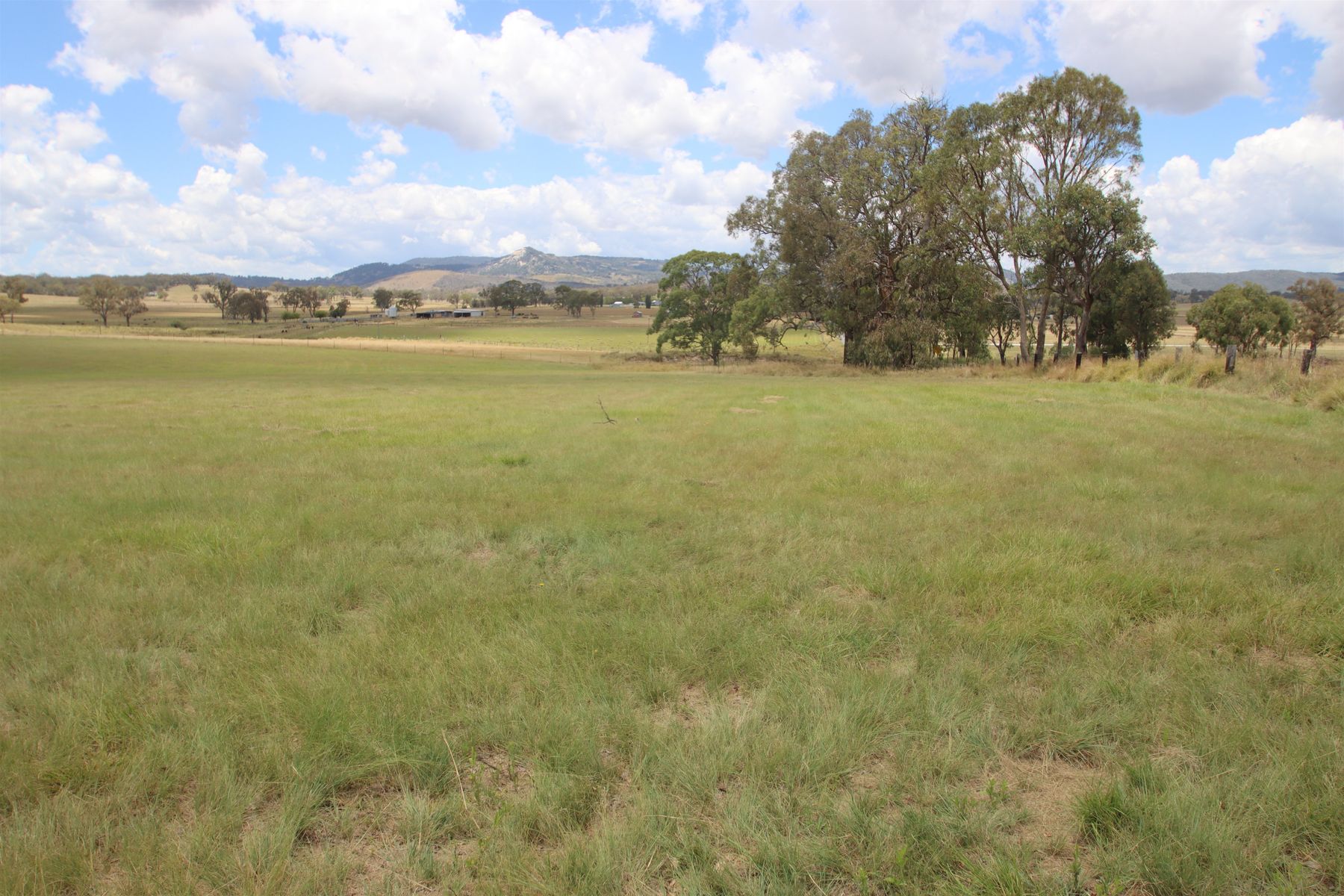 110B Sunnyside Platform Road, Tenterfield NSW 2372, Tenterfield - Image 1
