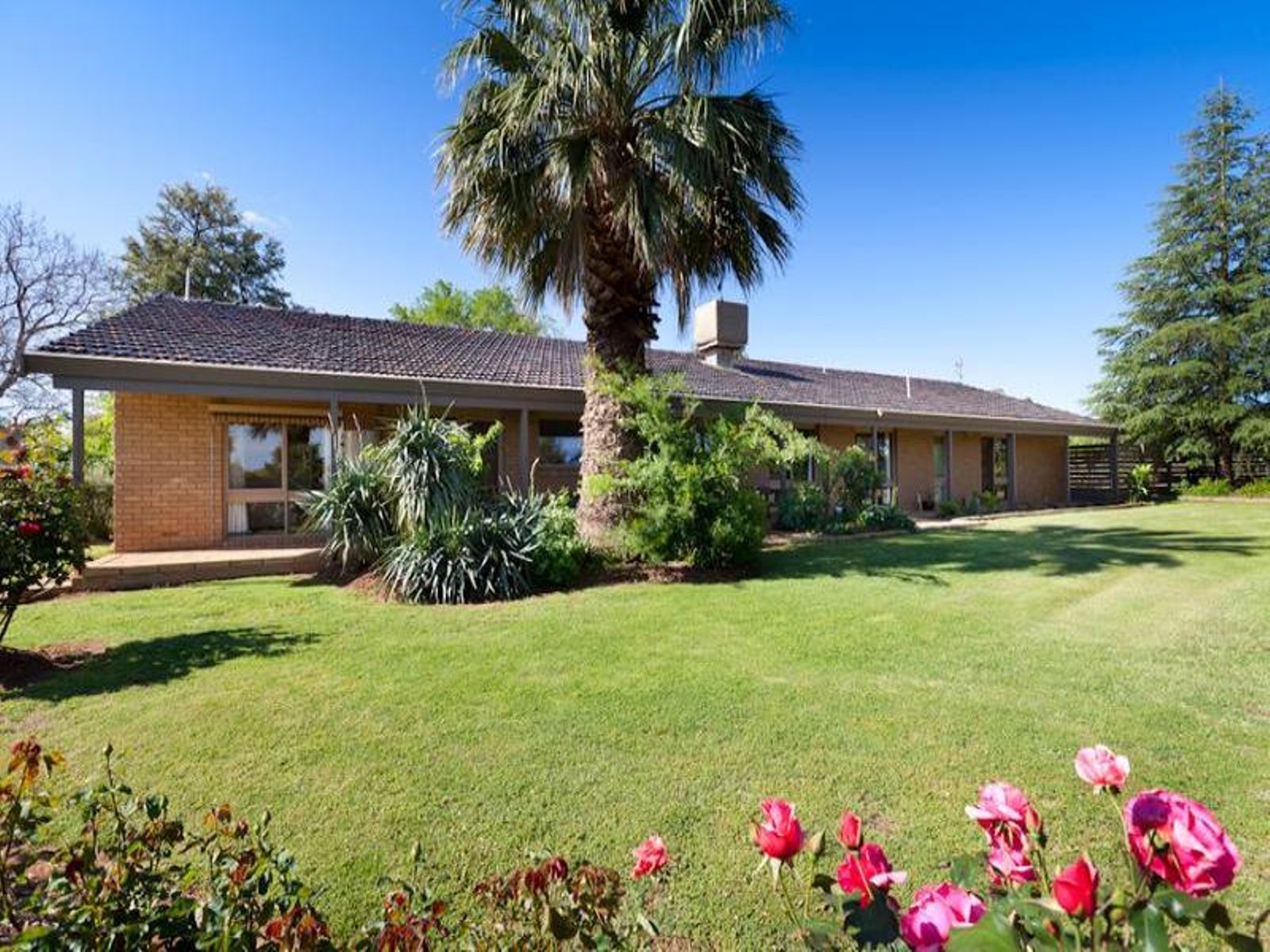 1117 Karadoc Avenue, Irymple - Image 1