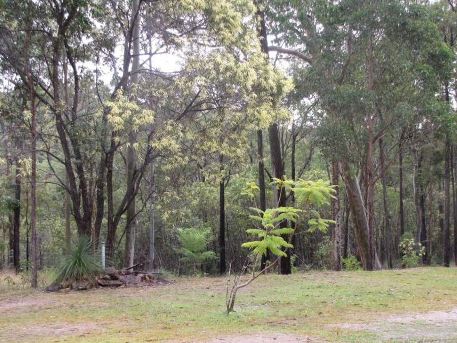 Lot 20 Old Bruxner Road, Drake Village - Thumbnail 6