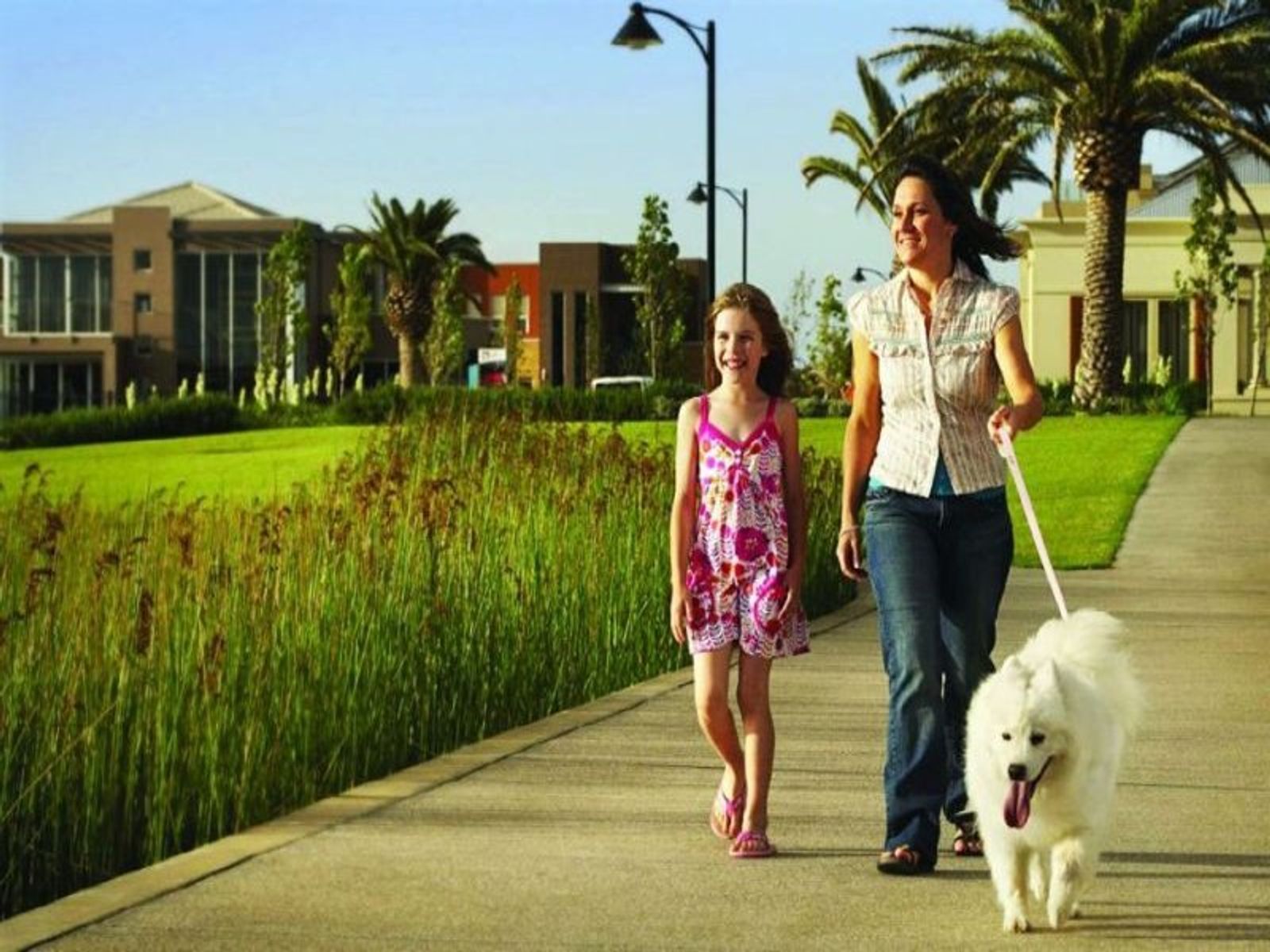 LOT 702 LOT 702 Isla Circuit, Mawson Lakes SA 5095, Mawson Lakes - Thumbnail 3