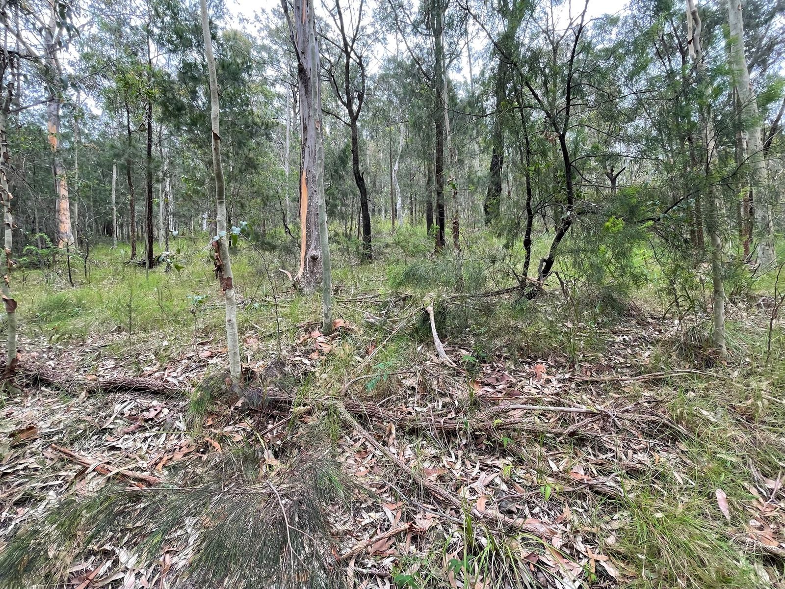 Lot 761 Tenterfield Road, North Arm Cove NSW 2324, North Arm Cove - Thumbnail 3