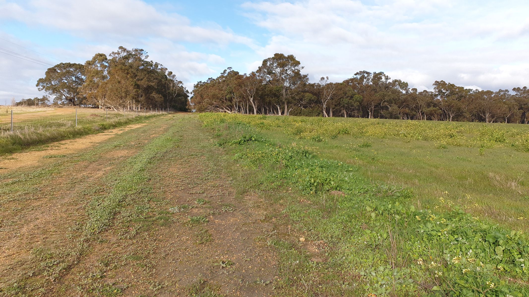 15 Northey Retreat, Mount Barker WA 6324, Mount Barker - Thumbnail 4