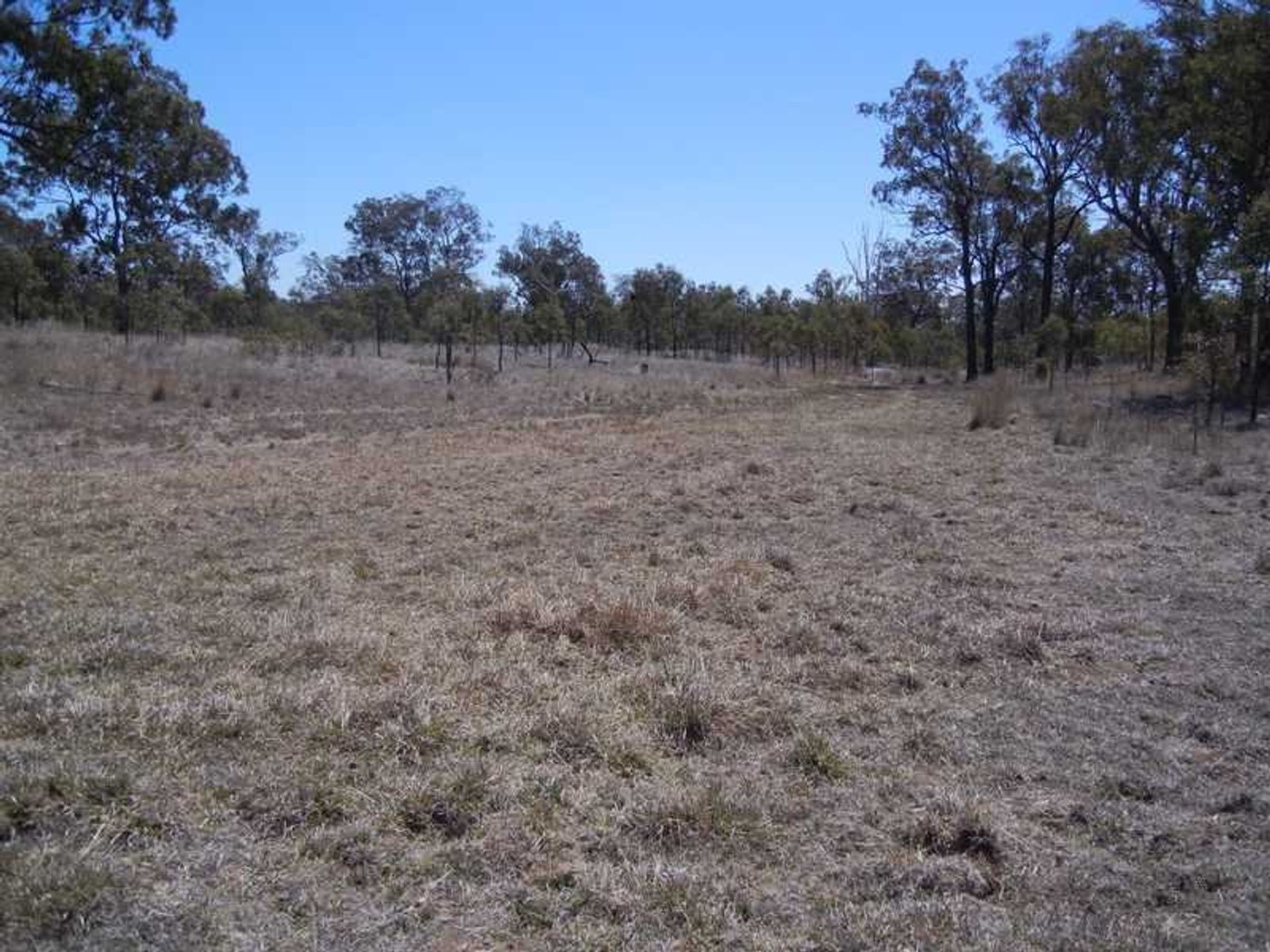 20641 New England HIghway, Warwick, QLD 4370, The Glen - Thumbnail 6