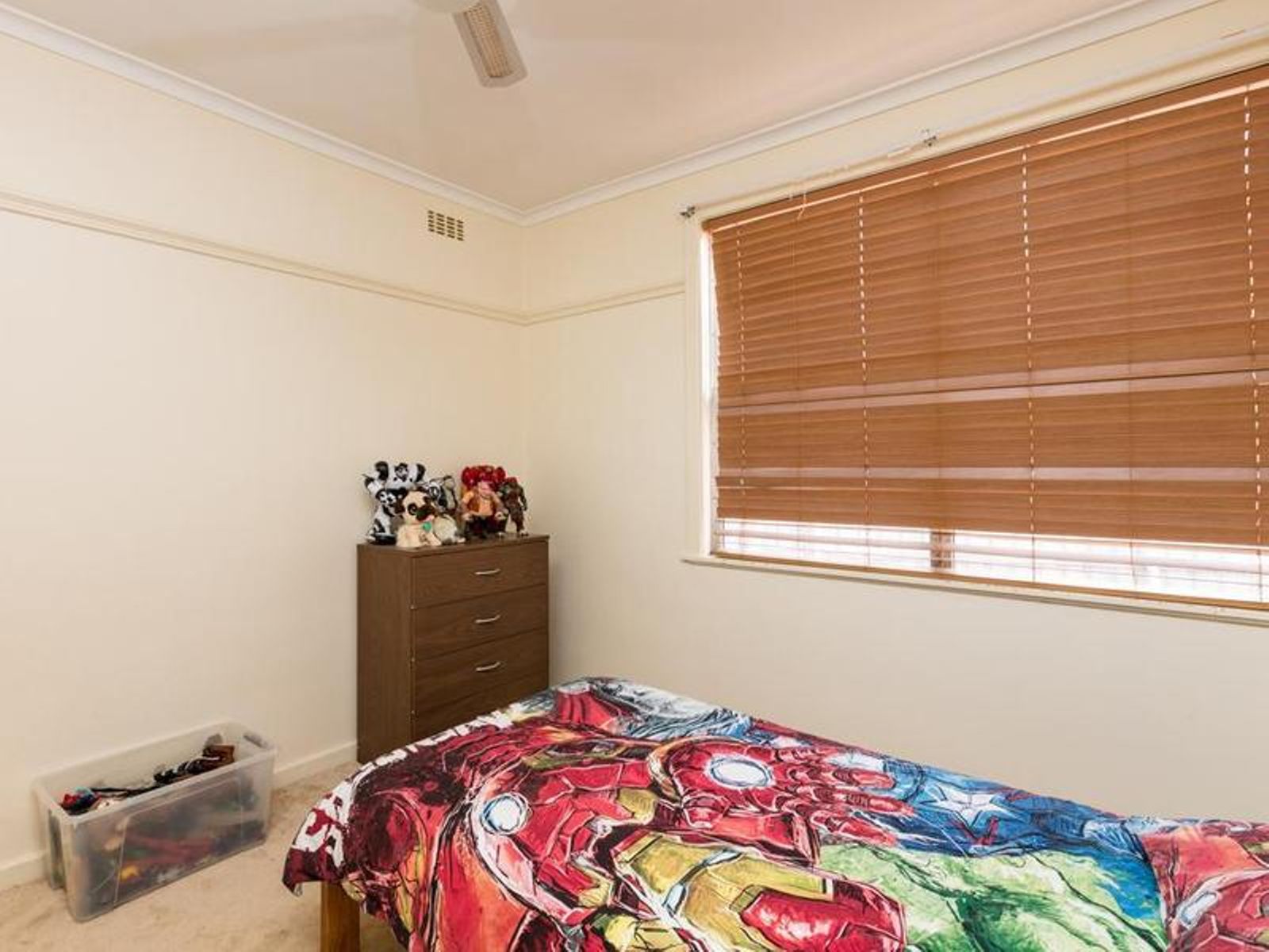 12 Hazel Avenue, Mildura - Thumbnail 8