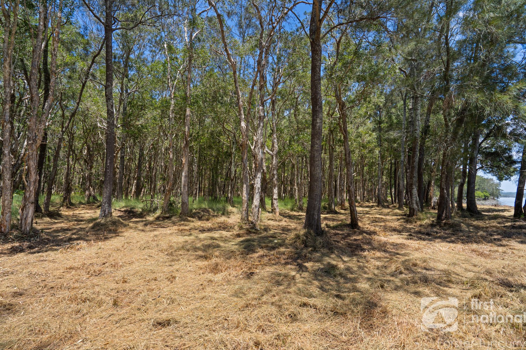 Lot 50 The Lakes Way, Forster NSW 2428, Forster - Thumbnail 7