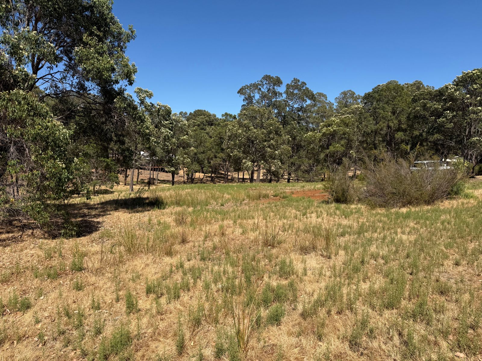 59 Lyons Road, Waroona WA 6215, Waroona - Thumbnail 4