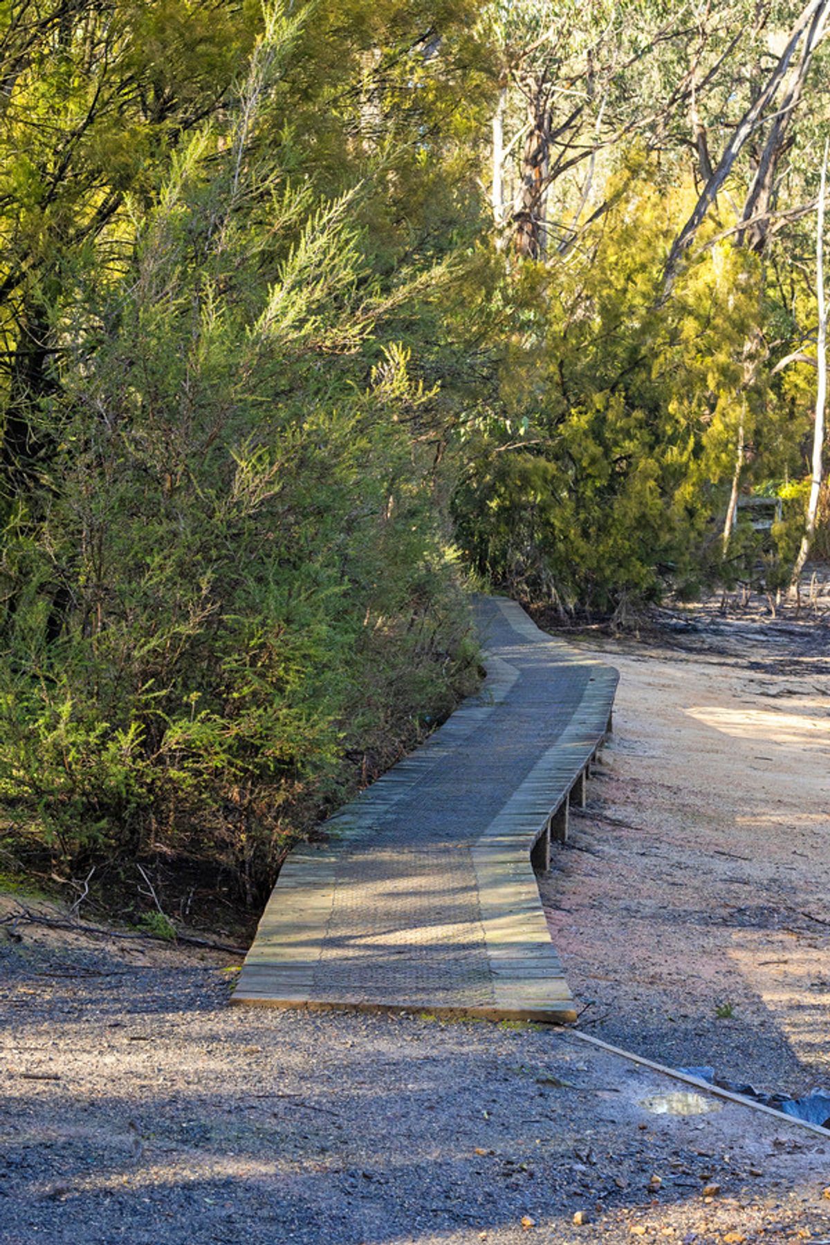 Lot 3 Springwood Circuit, Moe VIC 3825, Moe - Thumbnail 7