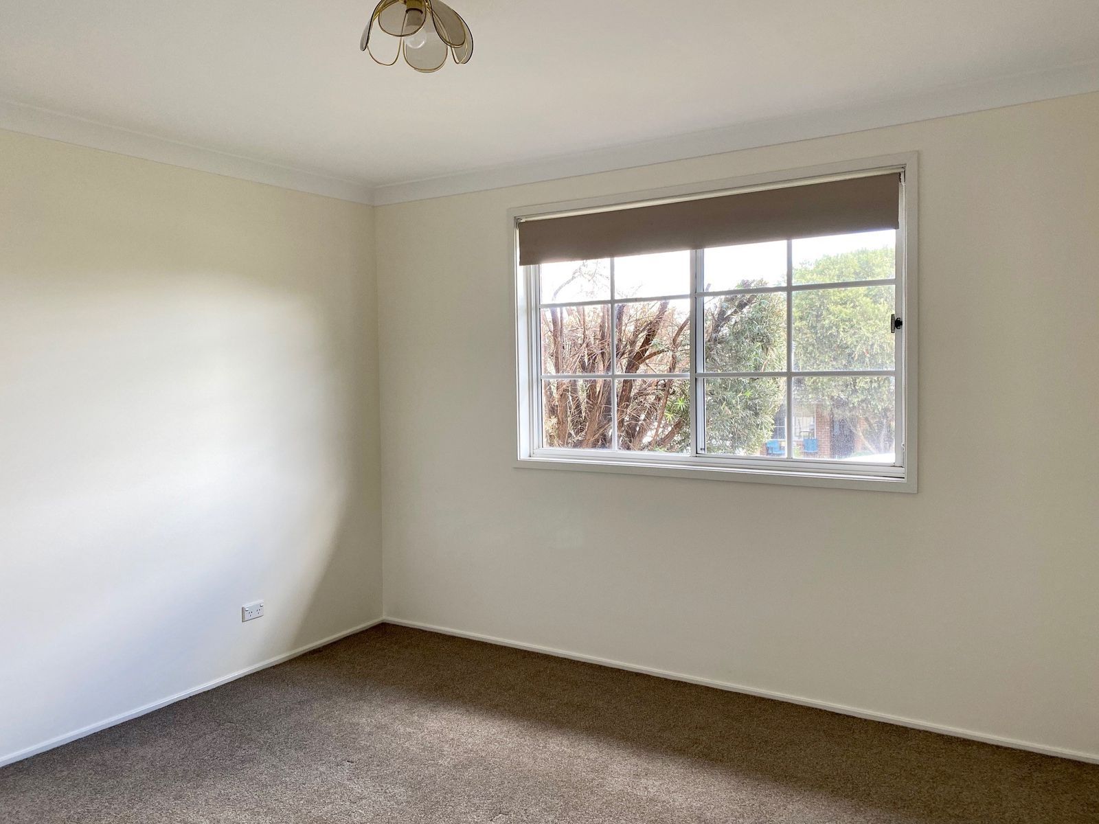 8/157 Carthage Street, Tamworth NSW 2340, Tamworth - Thumbnail 8