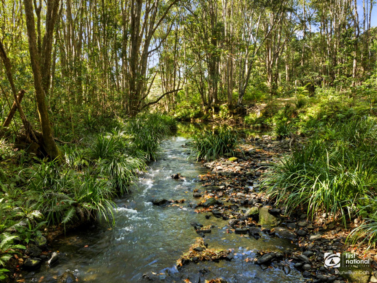 145 Smiths Creek Road, Uki NSW 2484, Smiths Creek - Thumbnail 4