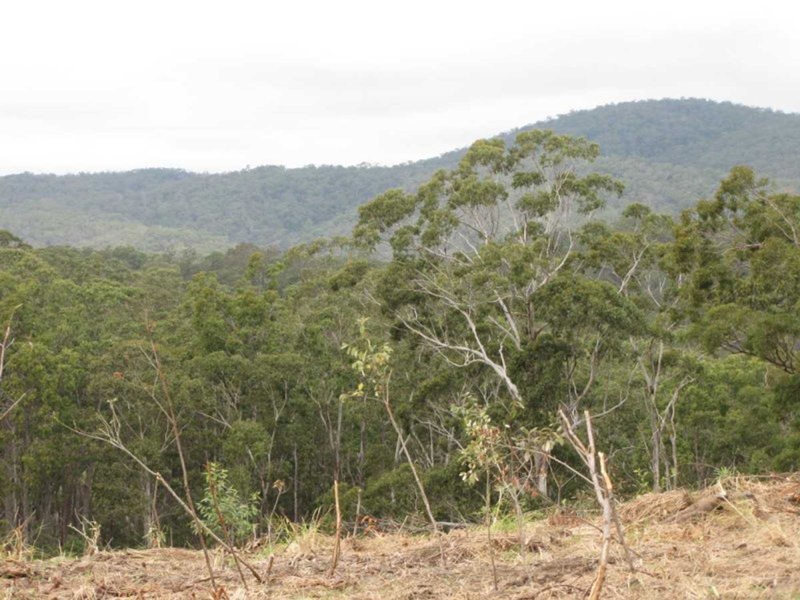 Lot 75 Lot 75 Fairfield Road, Drake Village - Thumbnail 5