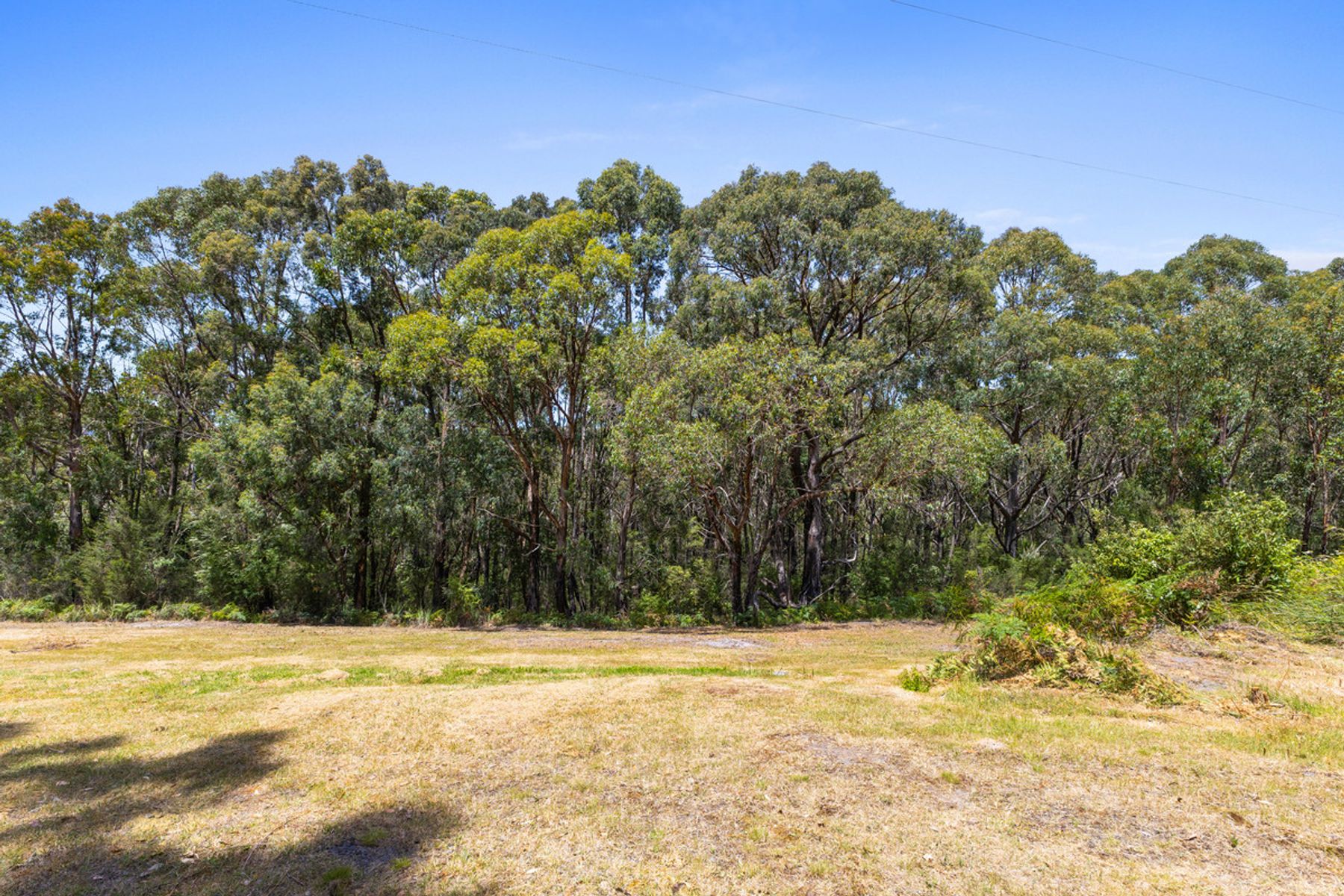 245 Old Callignee Road, Callignee VIC 3844, Callignee - Thumbnail 4