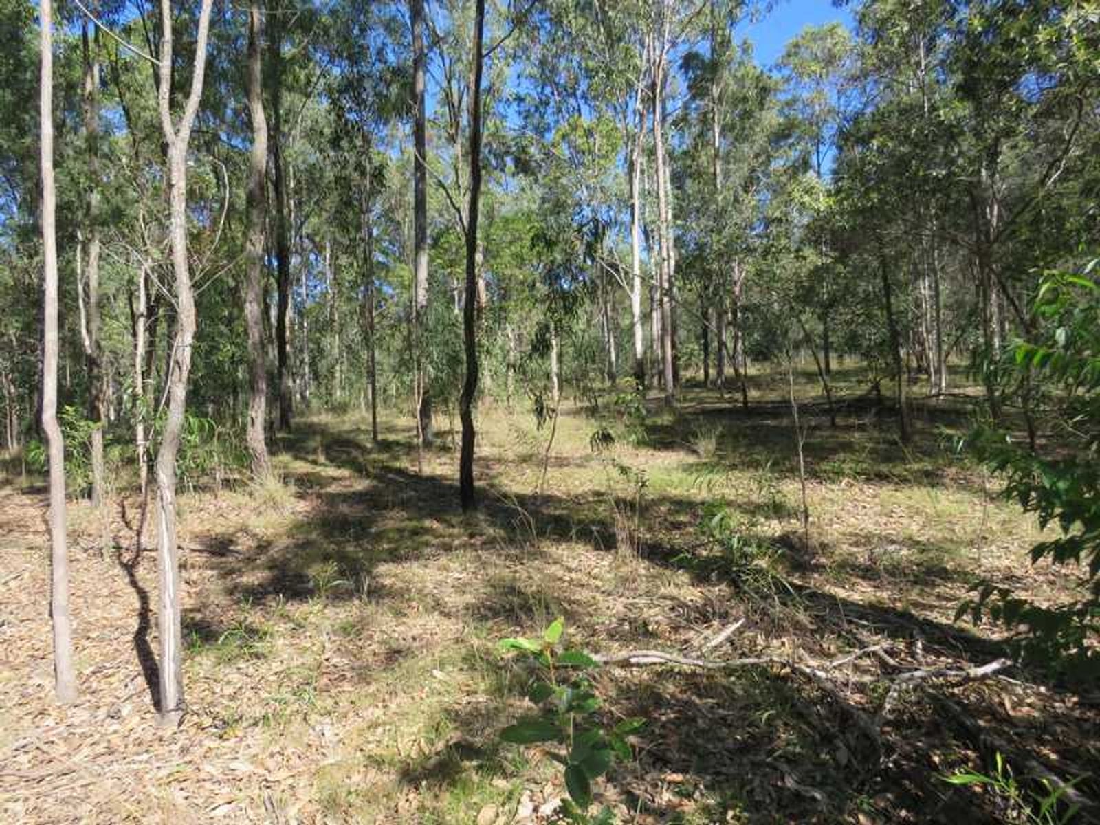 Lot 181 Sugarbag Road, Tabulam - Thumbnail 7