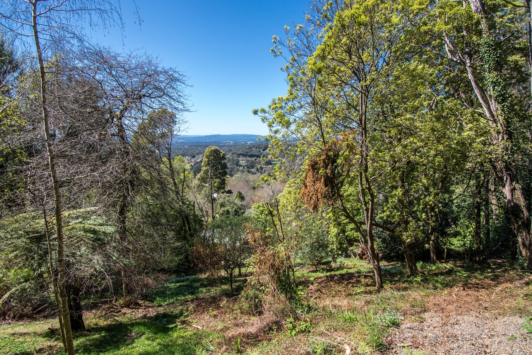 13 Dalmonte Grove, Kallista VIC 3791, Kallista - Thumbnail 5