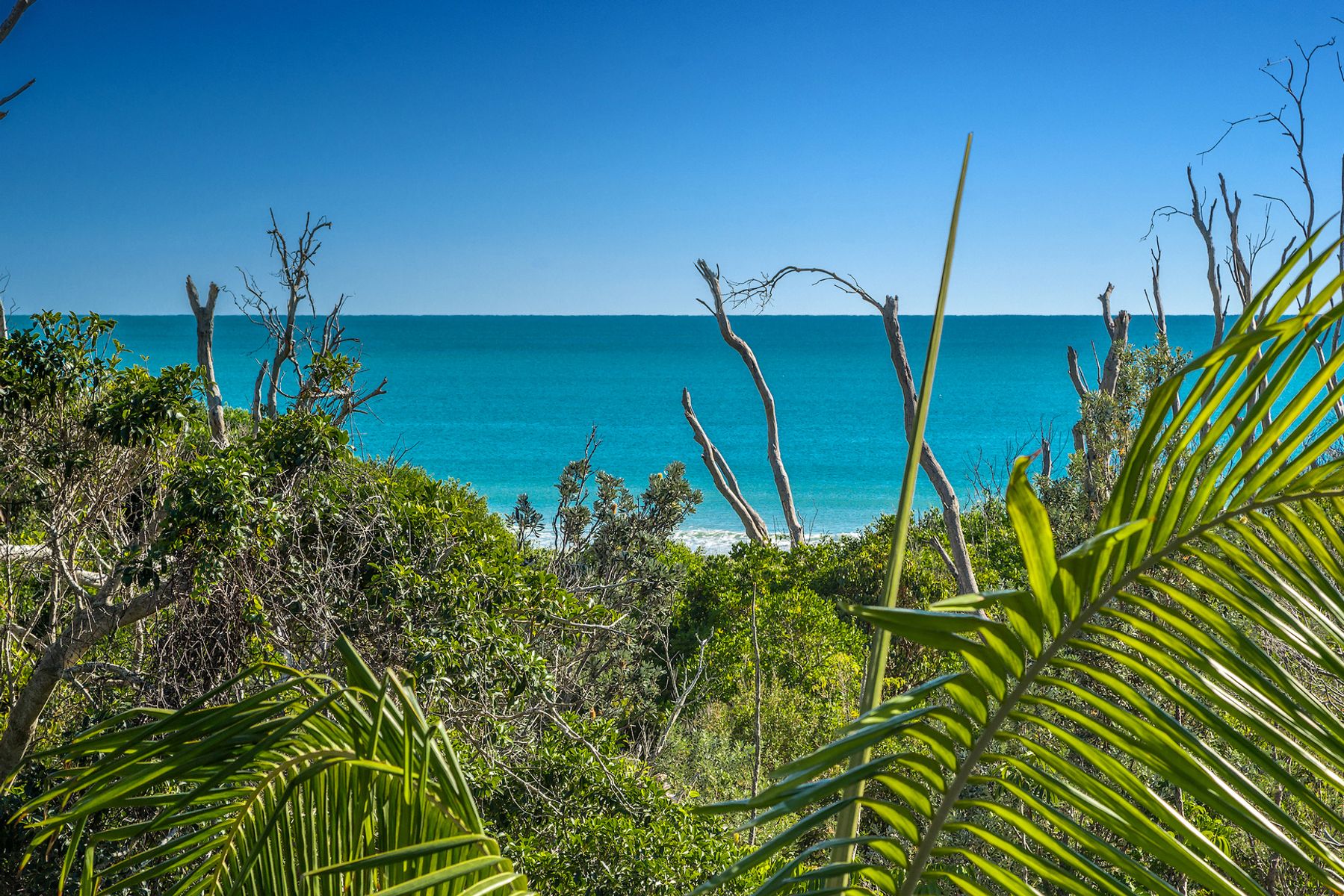 3/7 Cavvanbah Street, Byron Bay NSW 2481, Byron Bay - Thumbnail 2