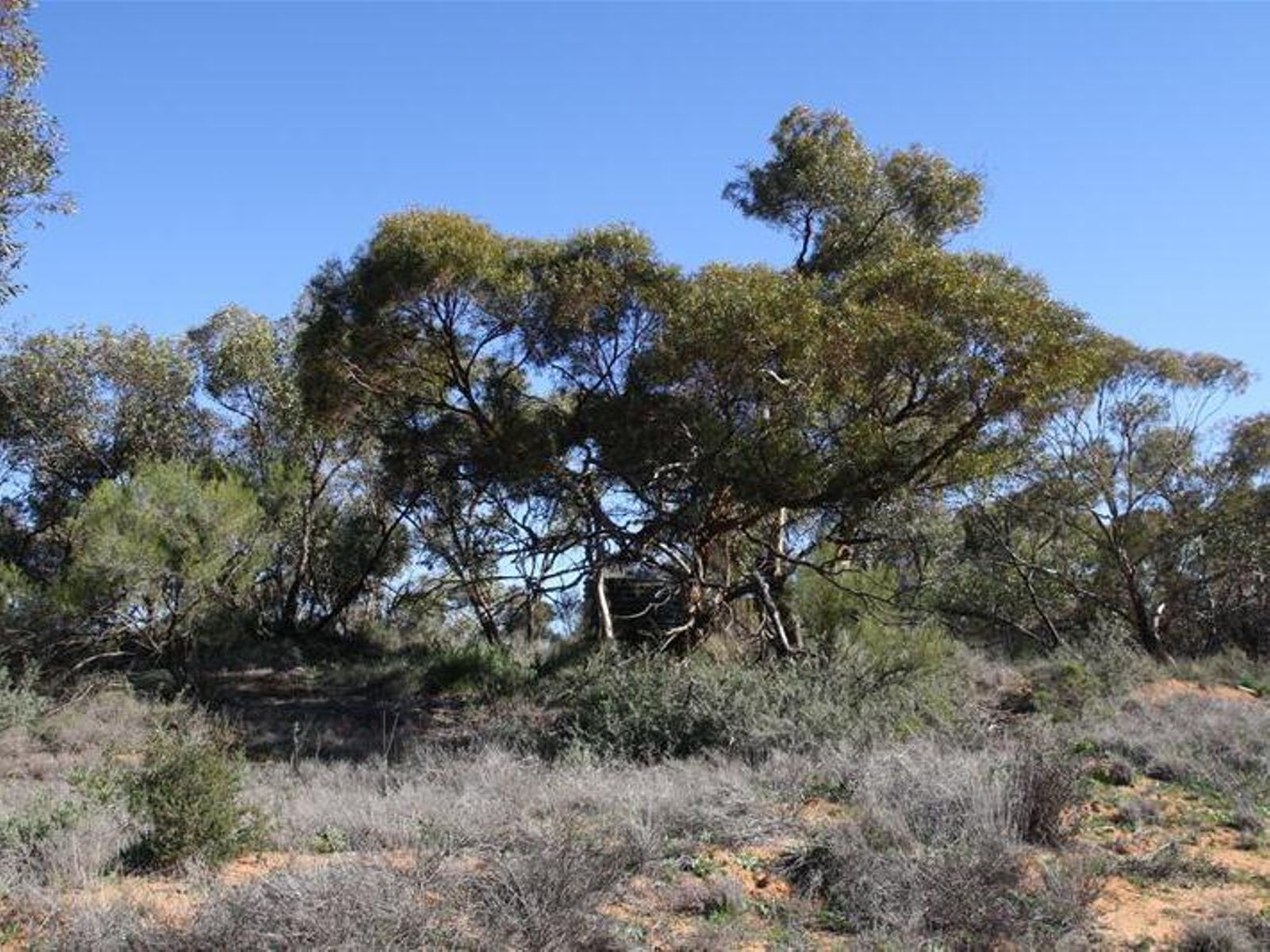 Lot 4 Sculthorpe Road, Nangiloc - Thumbnail 3