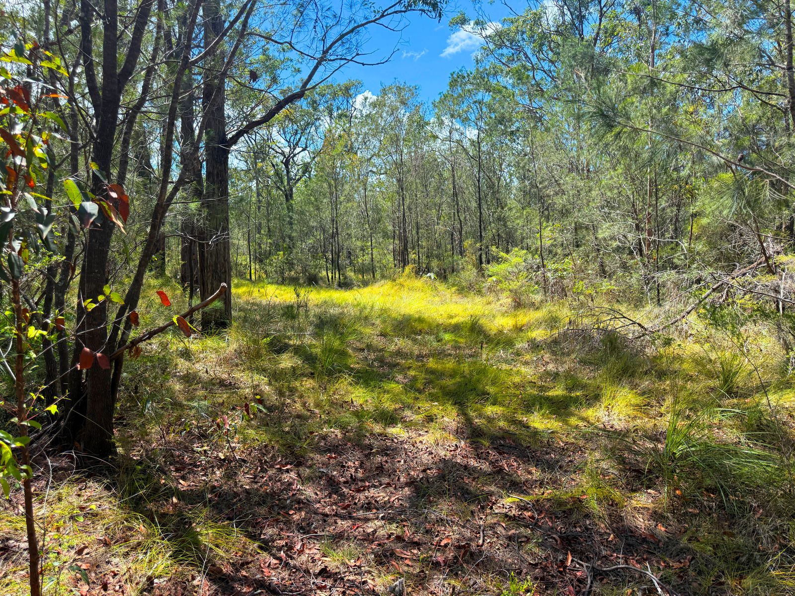 Lot 315 Glen Innes Road, North Arm Cove NSW 2324, North Arm Cove - Thumbnail 3