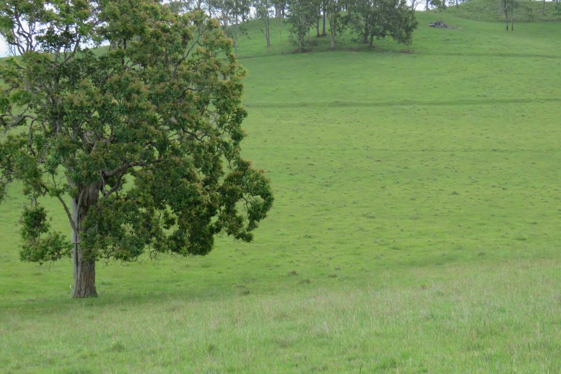 685 Spring Grove Road, Spring Grove, NSW 2470, Spring Grove - Thumbnail 4