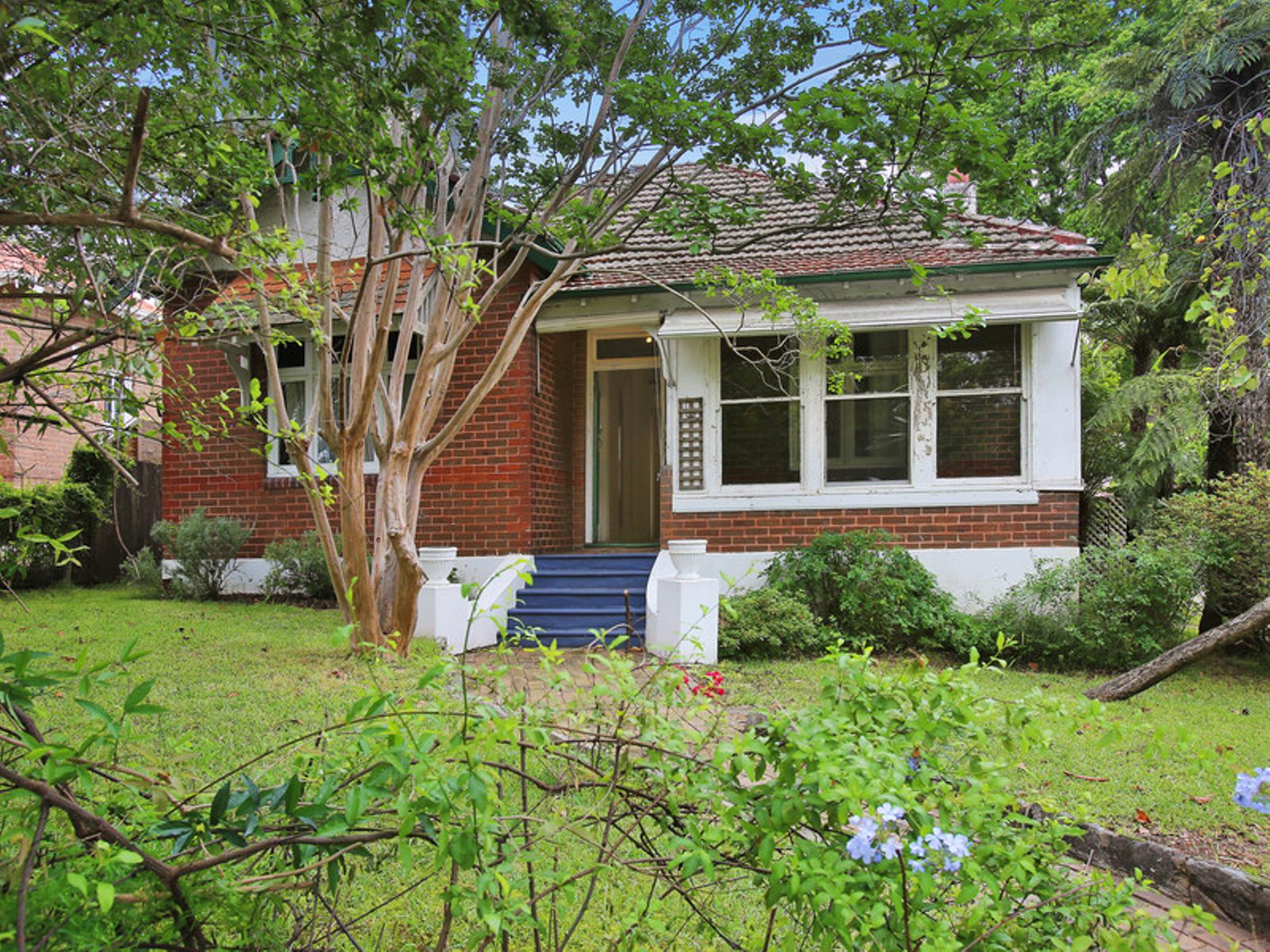 6 Eastwood Avenue, EASTWOOD, House for Sale First National Real Estate