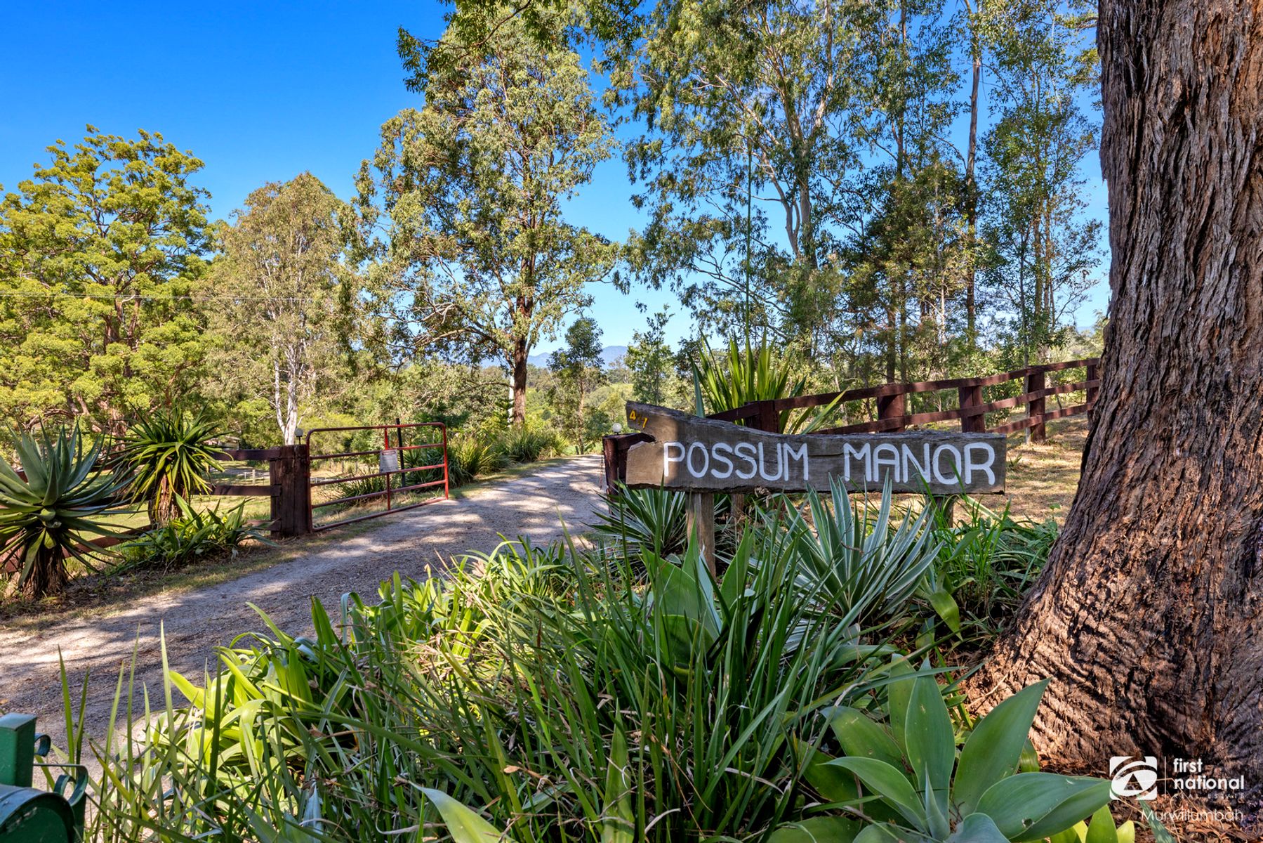 477 Pinnacle Road, Pumpenbil NSW 2484, Pumpenbil - Thumbnail 8