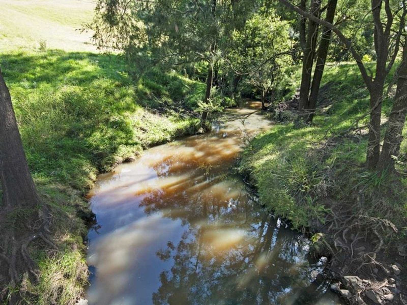 135 Bolan Road, Doubtful Creek - Thumbnail 8